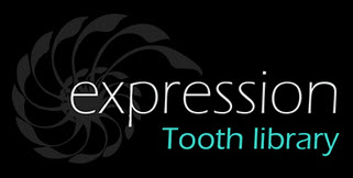 EXPRESSION teeth library by Pogarskiy Design 